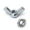 1/4-20 Wing Nuts 304 Stainless Steel by Dijedev 50pcs Fasteners-1